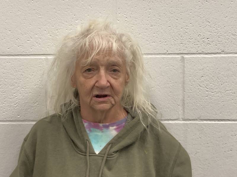 Booking photo of Kathleen Goins