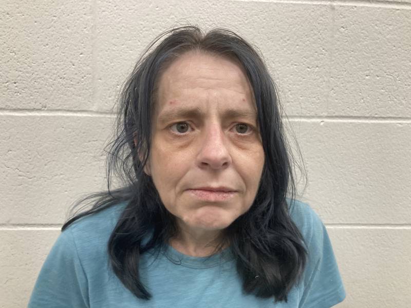 Booking photo of Rebecca Reed