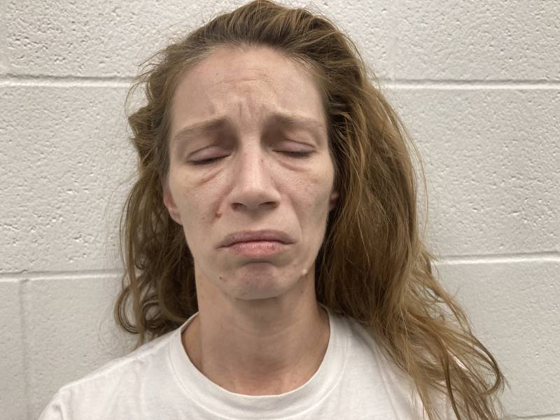 Booking photo of Christina Schimmel