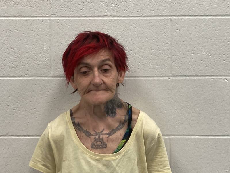 Booking photo of Susanna Conrad