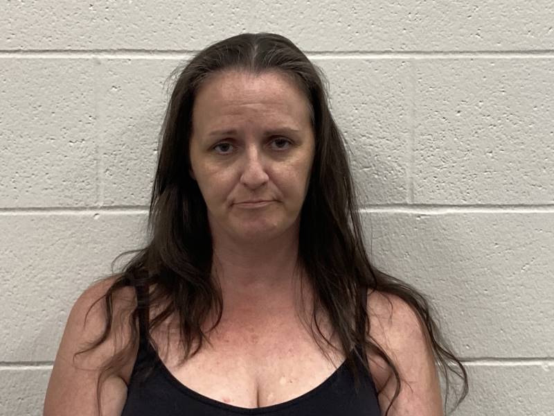 Booking photo of Leslie Cheesman