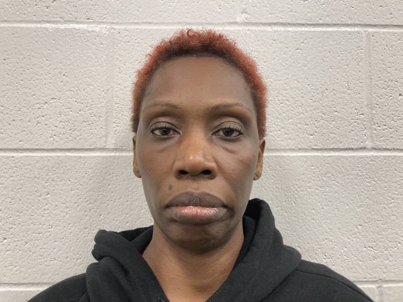 Booking photo of Lina Kavula