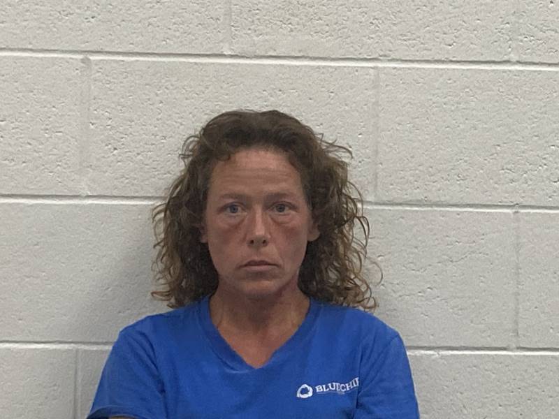Angela Gulinelo booking photo