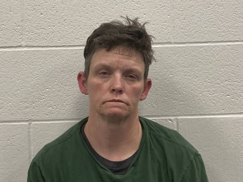Jillianne Owens booking photo