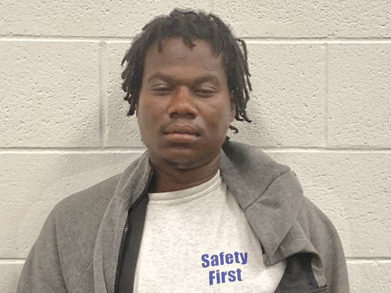 Dominique Richardson booking photo