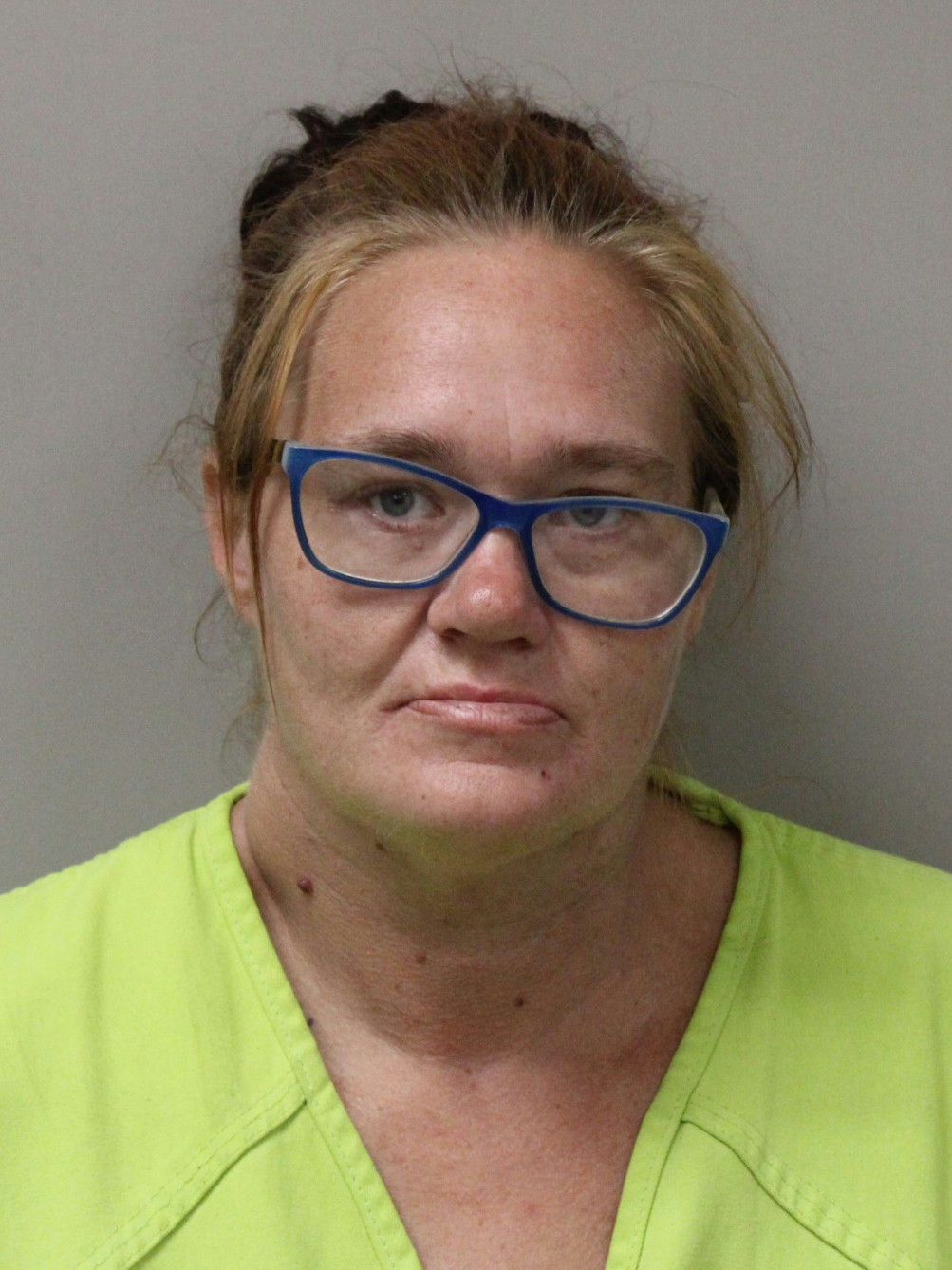 Booking photo of Heather Kotecki