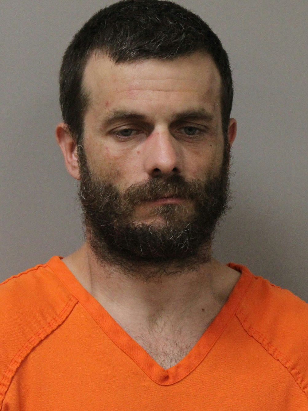 Booking photo of Trevor Schoenmann