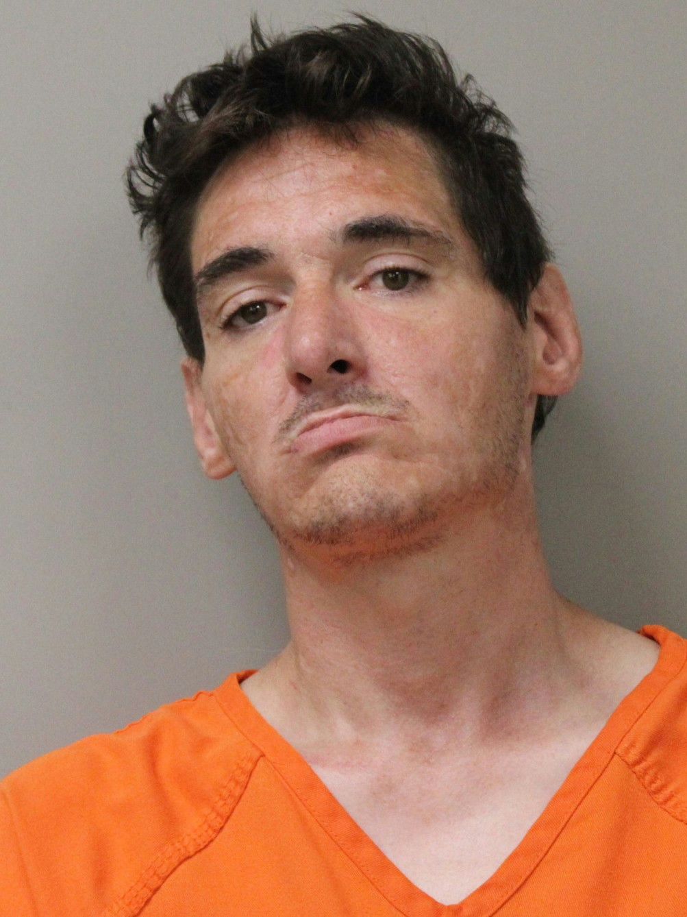 Booking photo of Richard Matteson