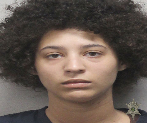 Booking photo of Alana Reinhardt