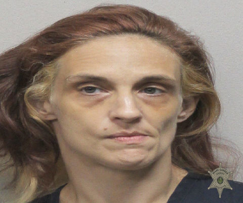 Booking photo of Traci Hebert