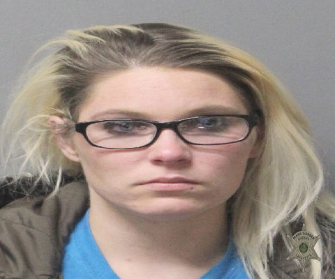 Booking photo of Krista Stevens