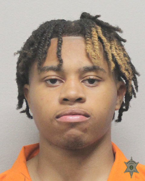 Booking photo of Risman Jenkins
