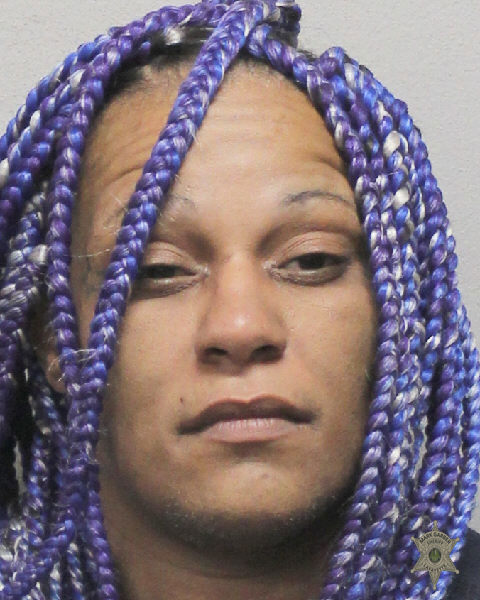 Booking photo of Gabrille Felix