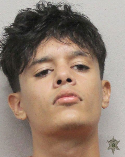 Booking photo of Noah Picard