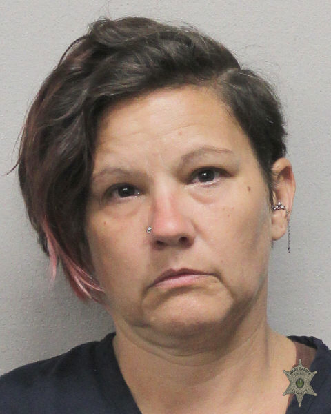 Booking photo of Andrea Tauzin