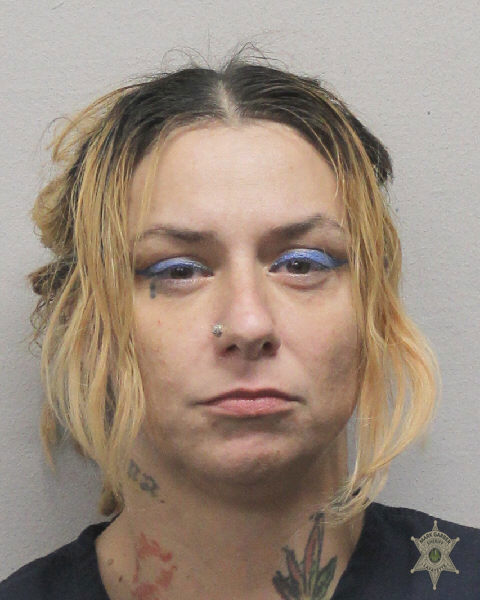 Booking photo of Dianna Viator