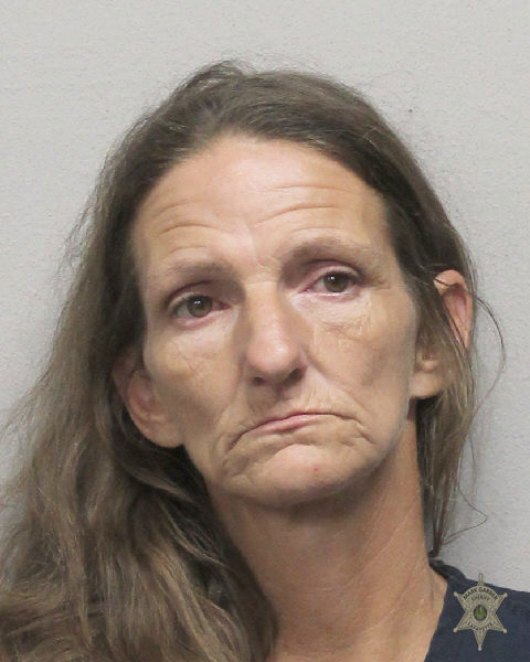 Johnett Boutin booking photo