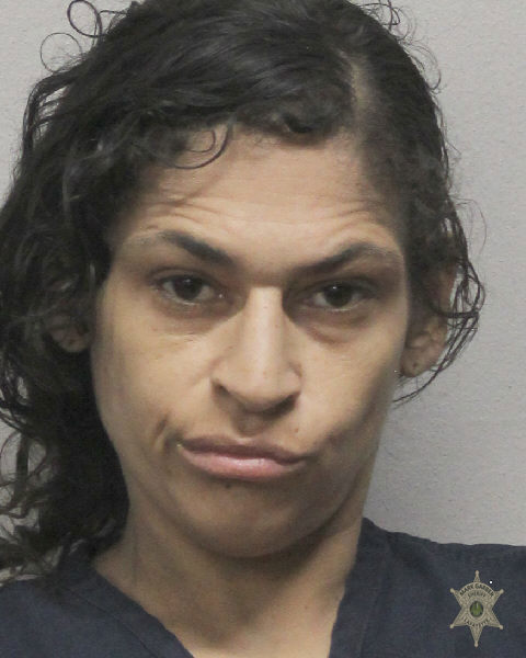 Larae Johnson booking photo