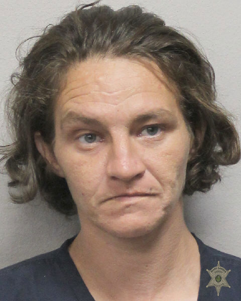 Booking photo of Stephanie Alleman