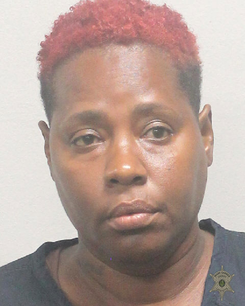 Booking photo of Brandy Milson