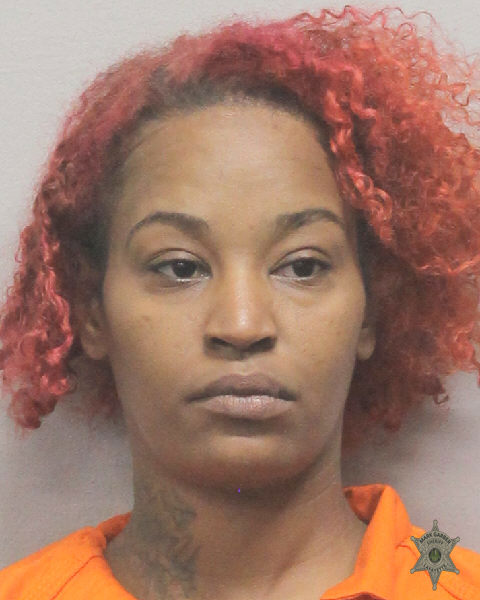 Booking photo of Brittney Mczeal