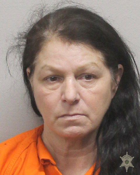 Booking photo of Lana Slyfield