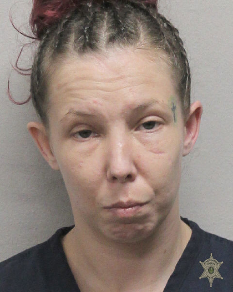 Booking photo of Megan Perrodin