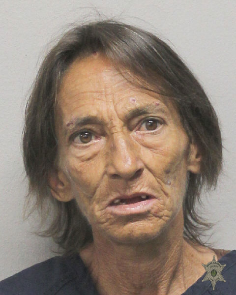 Booking photo of Lisa Hebert