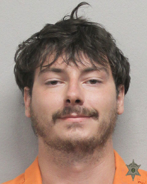 Booking photo of Logan Meche