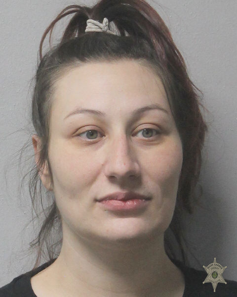 Booking photo of Sarah Johnson