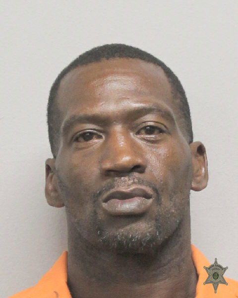 Booking photo of Brandy Bourda