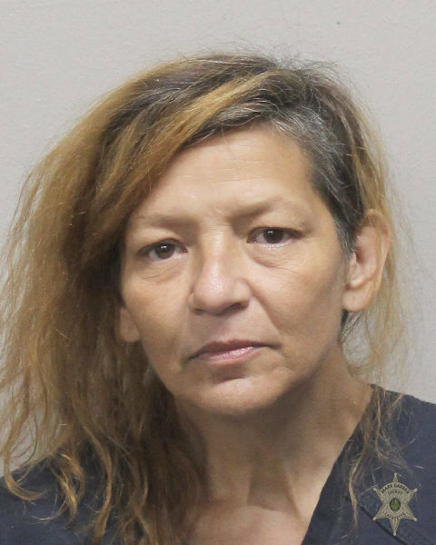 Booking photo of Natisha Colon