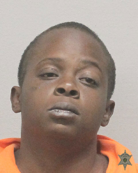 Booking photo of Lindsey Thomas