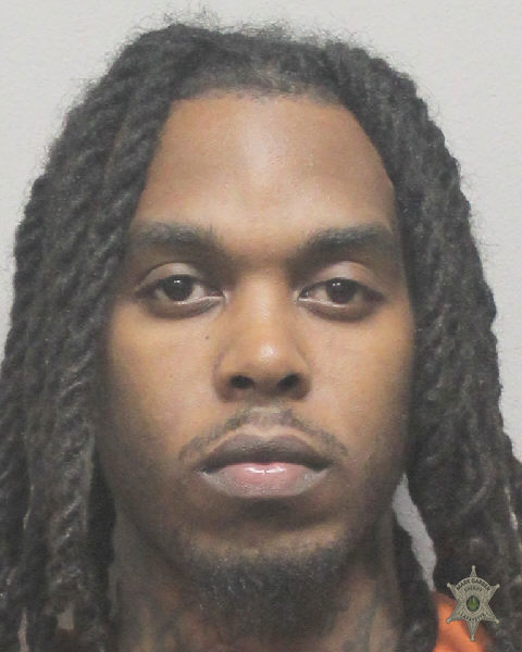Booking photo of David Journet