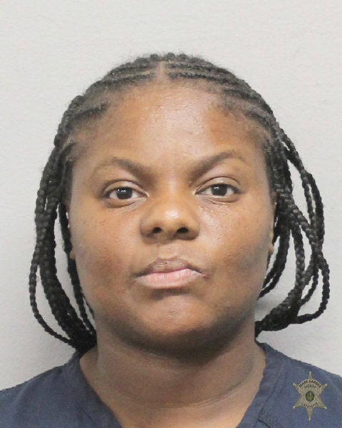 Booking photo of Alexis Stjulien