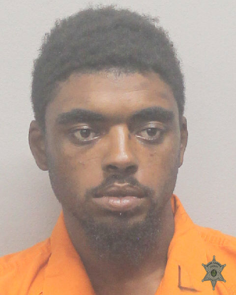 Booking photo of Dabralus Flugence