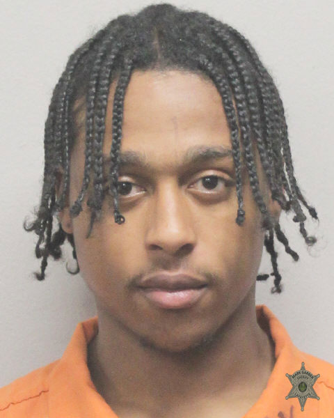 Booking photo of Reginald Price