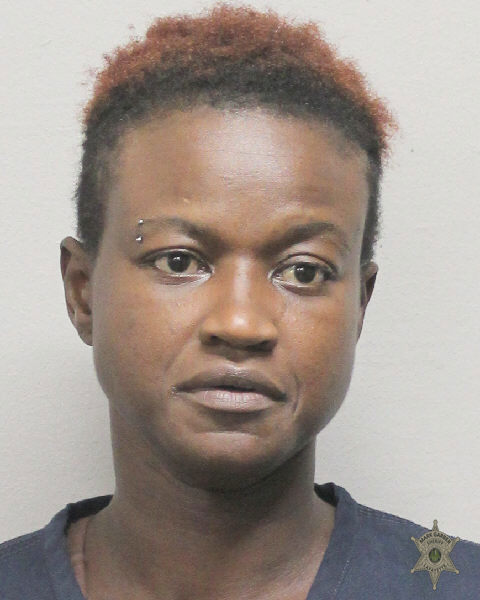Booking photo of Tabatha Levine