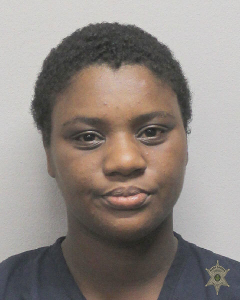 Booking photo of Rayzne Ivory