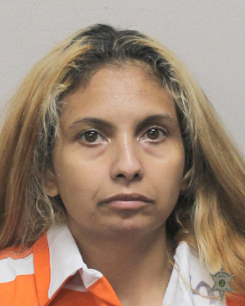 Booking photo of Annie Castillo