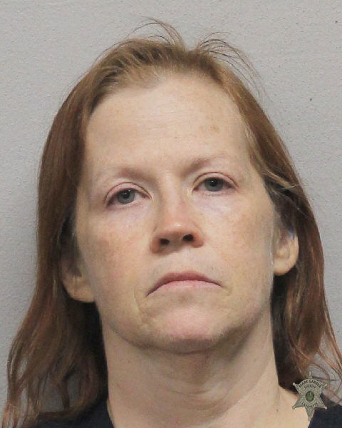 Booking photo of Diana Castille