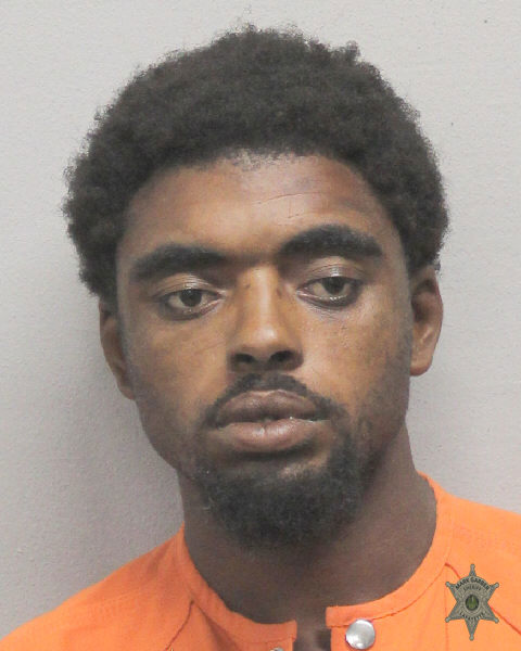 Booking photo of Dabralus Flugence