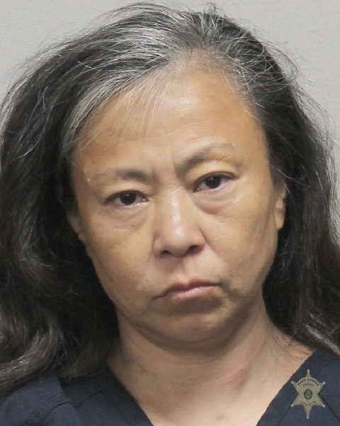 Booking photo of Dan Fan