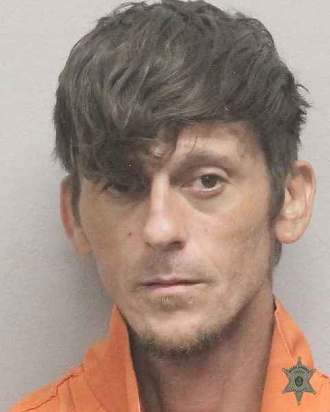 Booking photo of Brian Paul