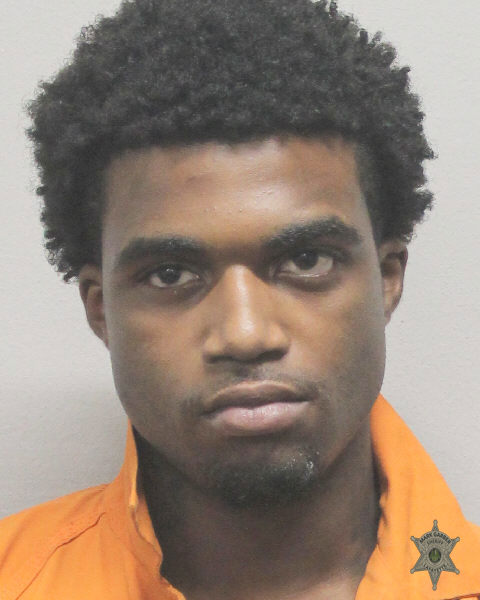 Booking photo of Andrew Lewis