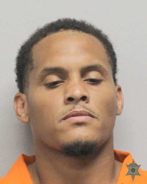 Booking photo of Dillian Roy