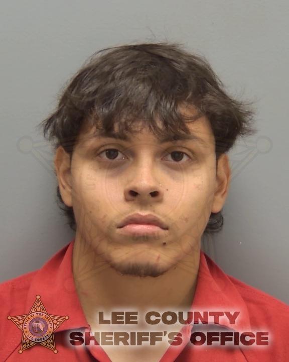 Booking photo of Noah Lyons