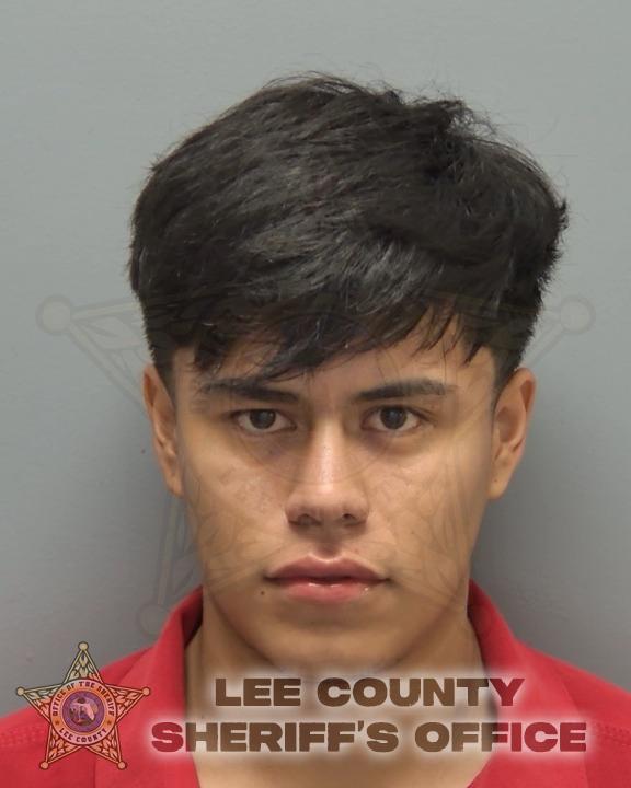 Booking photo of David De Leon Palma
