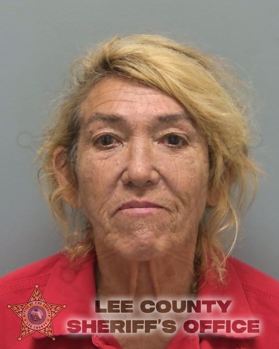 Booking photo of Carol Young