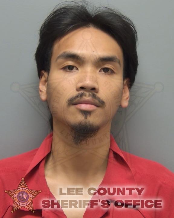 Booking photo of Jan Tan